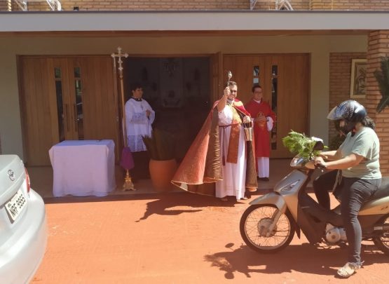Alguns momentos da bênção dos ramos em 2020