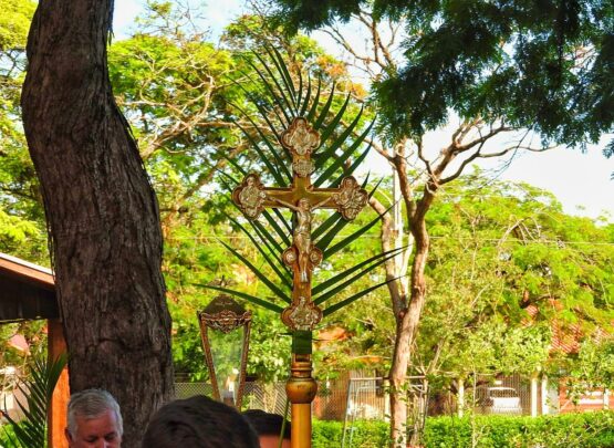 DOMINGO DE RAMOS E PAIXÃO DO SENHOR
